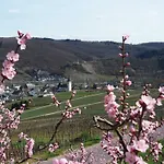 Gerhard Lenz * Ellenz-Poltersdorf