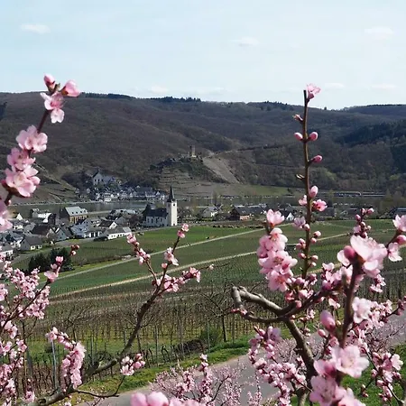 Gerhard Lenz * Ellenz-Poltersdorf