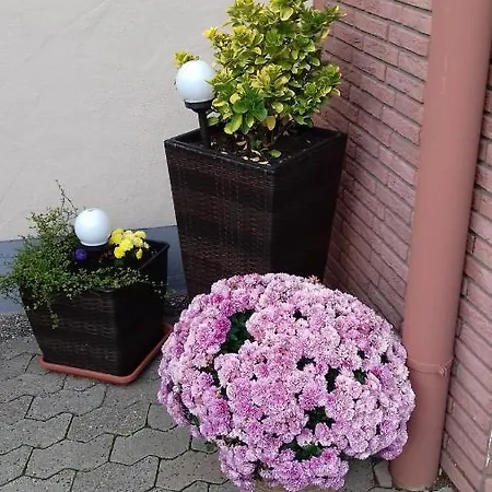 Gerhard Lenz Appartement